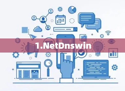 1.NetDnswin