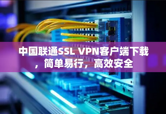 中国联通SSL VPN客户端下载，简单易行，高效安全