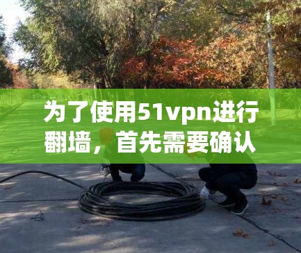 为了使用51vpn进行翻墙,首先需要确认你的网络是否允许下载和使用该软件。如果你的网络受到限制,建议避免下载,转而使用其他安全可靠的网络服务。以下是详细的步骤建议 为了使用51vpn进行翻墙,首先需要确认你的网络是否允许下载和使用该软件。如果你的网络受到限制,建议避免下载,转而使用其他安全可靠的网络服务。以下是详细的步骤建议