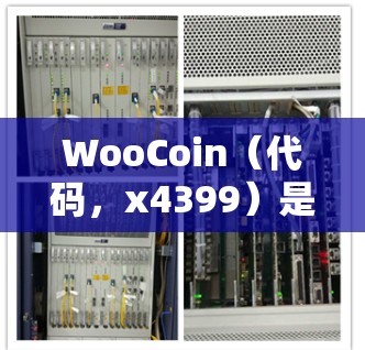 WooCoin(代码,x4399)是一个以太坊的自由加密货币,提供了一种免费的使用方式,通过购买WooCard在WooCoin上进行交易,用户会自动获得奖励。以下是对WooCoin的详细介绍